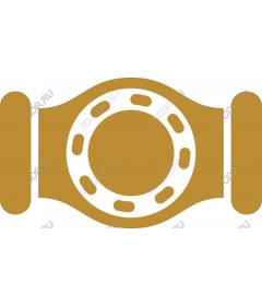  Championship belt