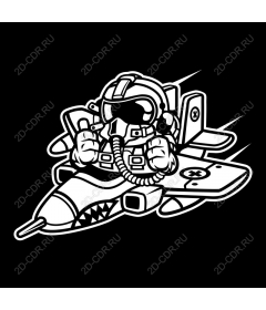  Adventures of a pilot