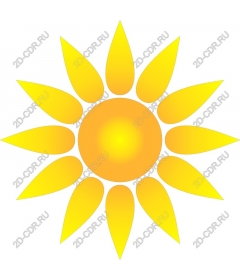  Sunny delight