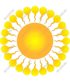  Bright sunlight