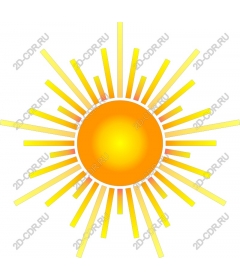 Sunny delight