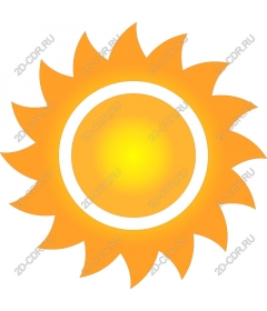  Sunny delight