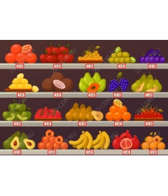  The fruit market