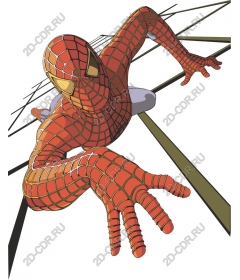 Dynamics Of Spider-Man