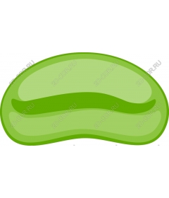  Fresh green beans