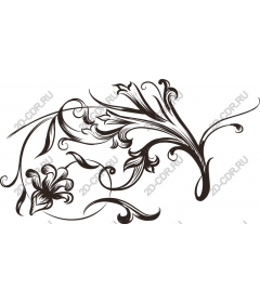  Elegant floral