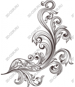 Elegant decorative flourish