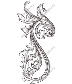  Elegant floral ornament
