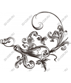  Elegant floral pattern