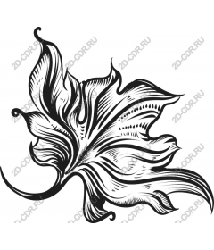 Stylized, the elegant leaf