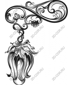  Elegant floral