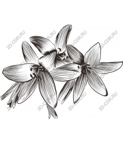  Elegant flower arrangement