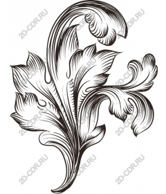  Elegant floral ornament