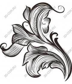  Elegant black and white floral pattern