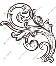  Elegant floral ornament