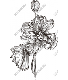  Elegant black and white floral pattern