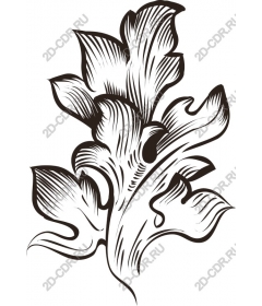Exquisite black-and-white sheet