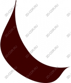  Elegant abstract curved shape