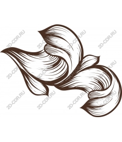  Elegant flourish