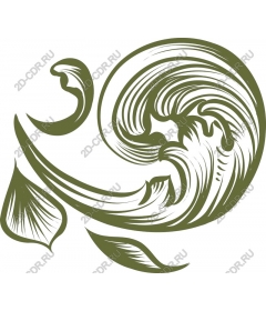  Elegant curls of nature