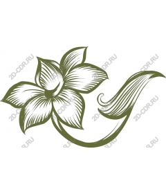  Elegant floral