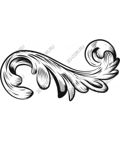  Elegant ornamental curl