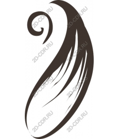  Elegant vortex