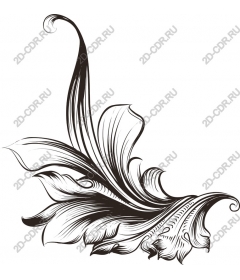  Elegant floral