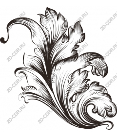  Elegant floral ornament