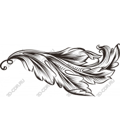  Elegant feather