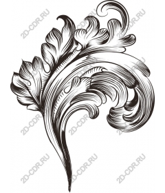  Elegant floral ornament