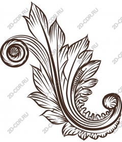  Elegant leaf curl