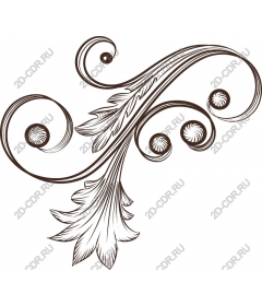  Elegant decorative curl