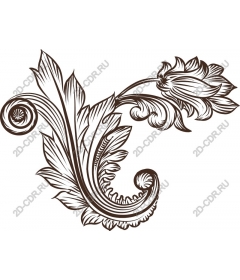  Elegant floral