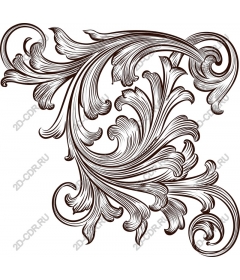  Elegant floral pattern