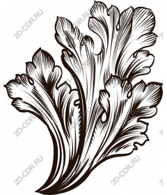 Lush leaf