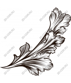  Delicate Botanical leaf