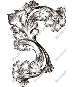  Elegant floral pattern