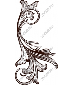  Elegant floral pattern
