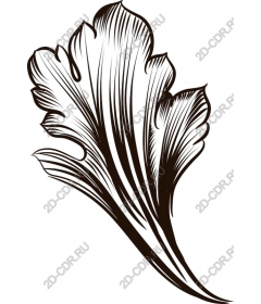  Elegant sheet
