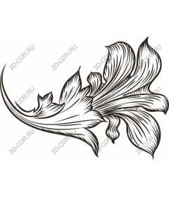  Elegant floral