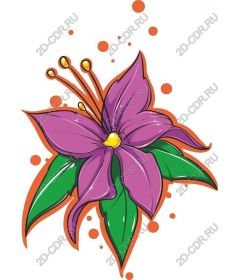  Bright purple flower