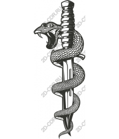 Snake and Dagger