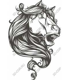  Fierce Horse Head