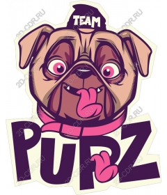  Adorable pug team PUPZ