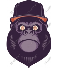  Stylish gorilla in a cap