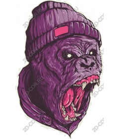  Rage gorilla