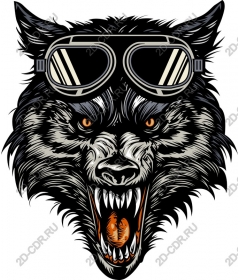 Head ferocious wolf with glasses