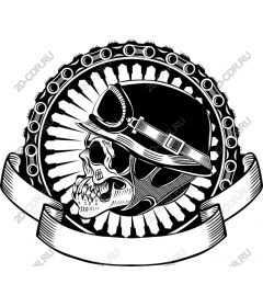  The skull and helmet