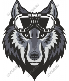  Fierce wolf with glasses